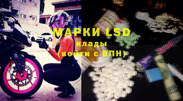 spice Вязники