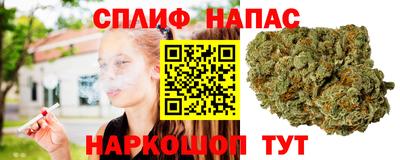 PSILOCYBIN Ирбит