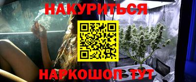PSILOCYBIN Ирбит