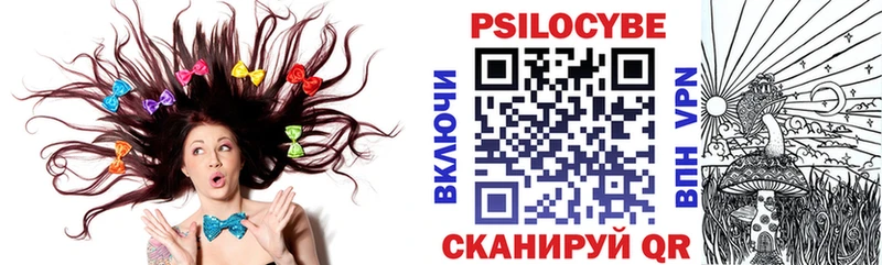 Псилоцибиновые грибы Psilocybe  купить   Минеральные Воды 