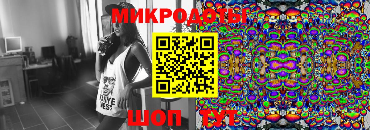 Псилоцибиновые грибы мухоморы Минеральные Воды