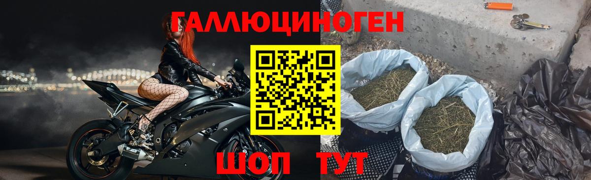 Галлюциногенные грибы прущие грибы  Минеральные Воды 