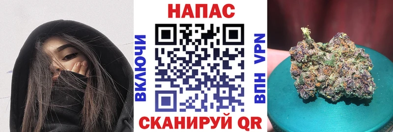 магазин продажи Минеральные Воды Бошки Шишки семена